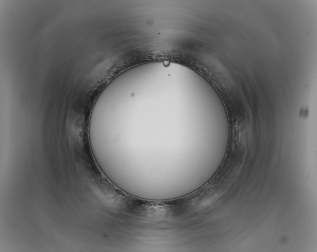 X0000090920698200708201806