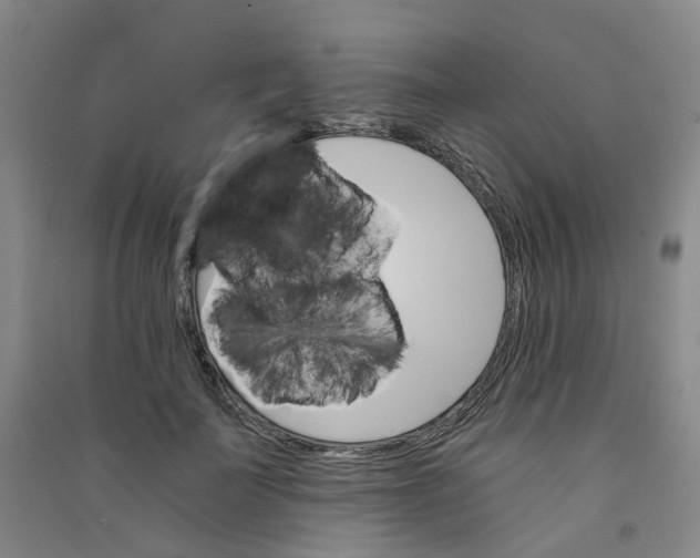 X0000090920699200708201806