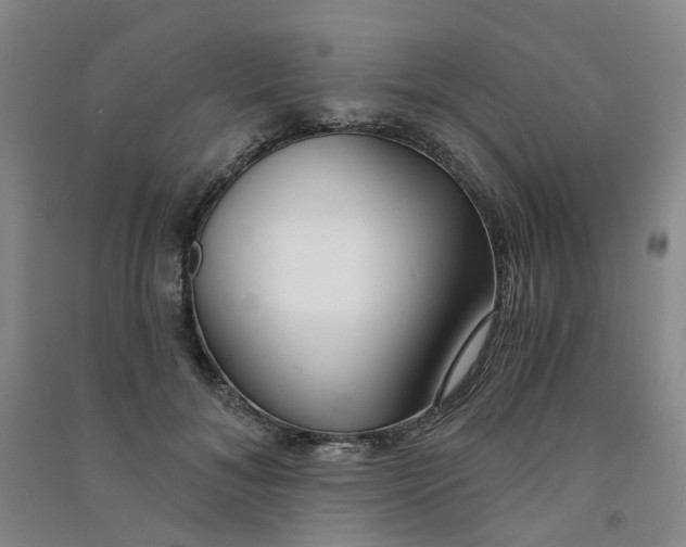 X0000090920700200708201806