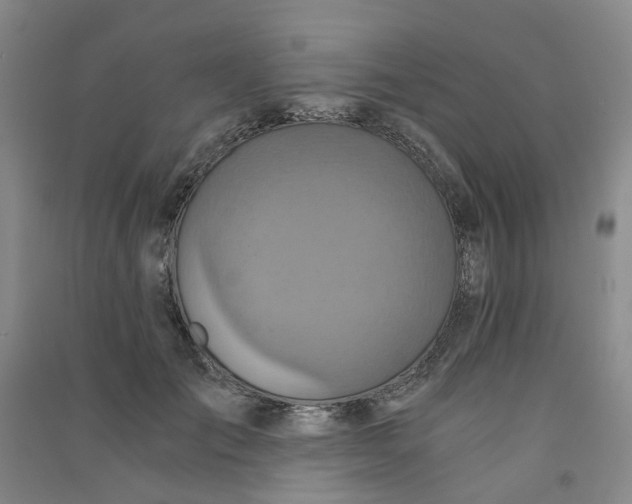 X0000090920701200708201806