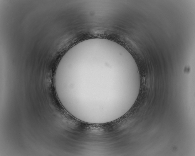 X0000090920702200708201806