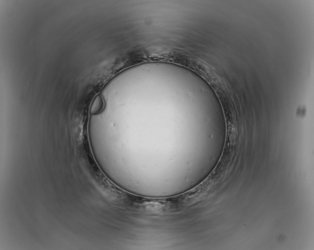 X0000090920703200708201806