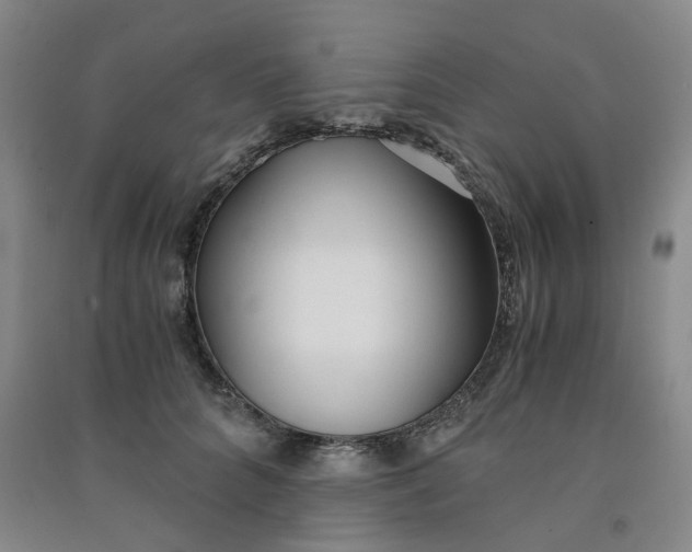 X0000090920704200708201806