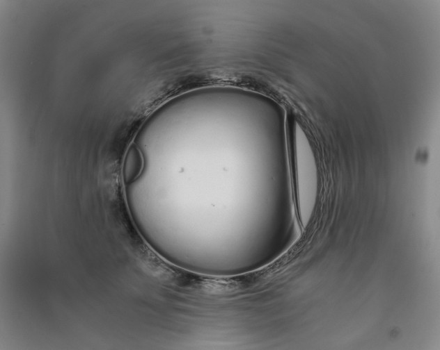 X0000090920707200708201806