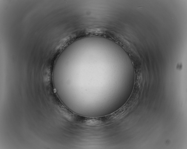 X0000090920708200708201806