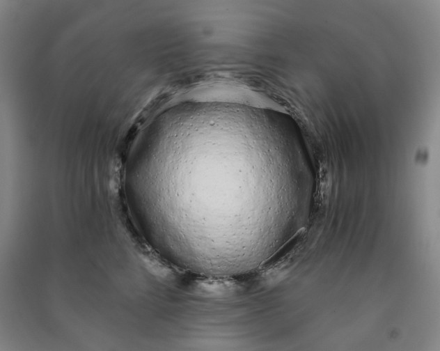 X0000090920712200708201806