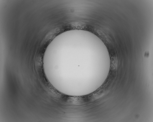 X0000090920713200708201806