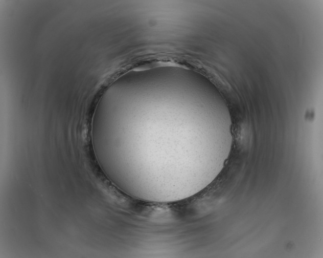 X0000090920715200708201806