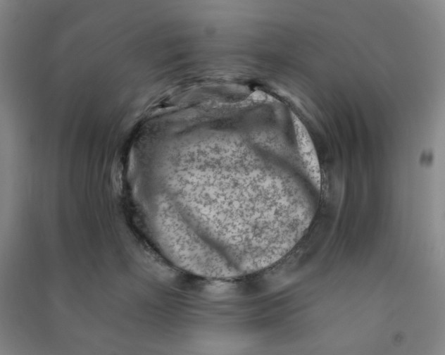 X0000090920718200708201806