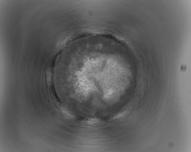 X0000090920720200708201806