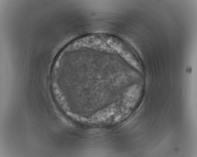 X0000090920721200708201805