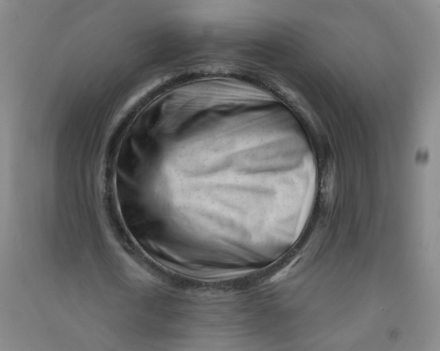 X0000090920722200708201805