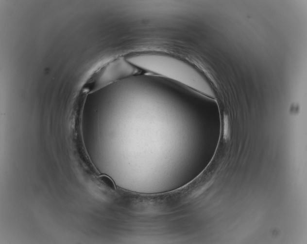 X0000090920723200708201805