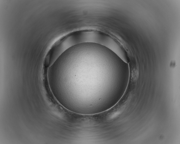 X0000090920724200708201805