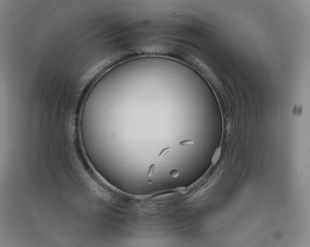 X0000090920725200708201805