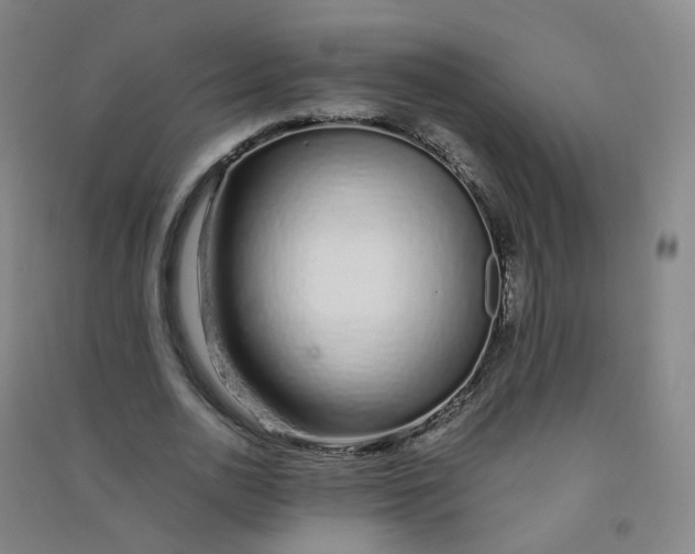 X0000090920726200708201805