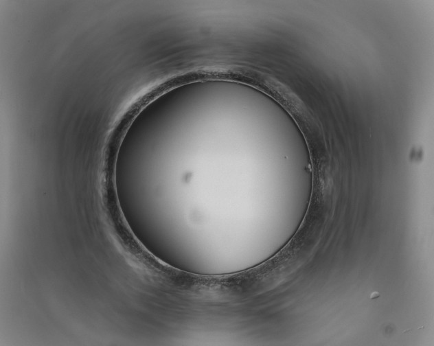 X0000090920728200708201805