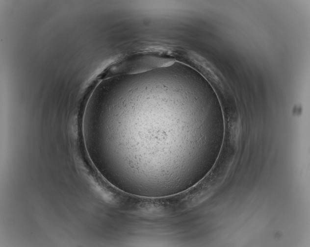 X0000090920729200708201805