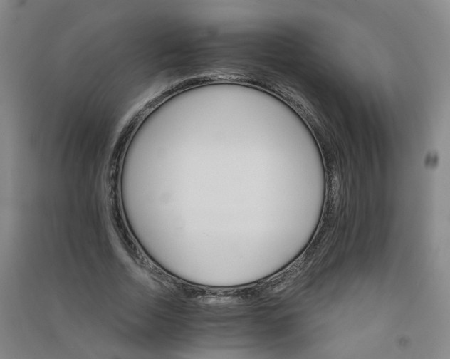 X0000090920730200708201805