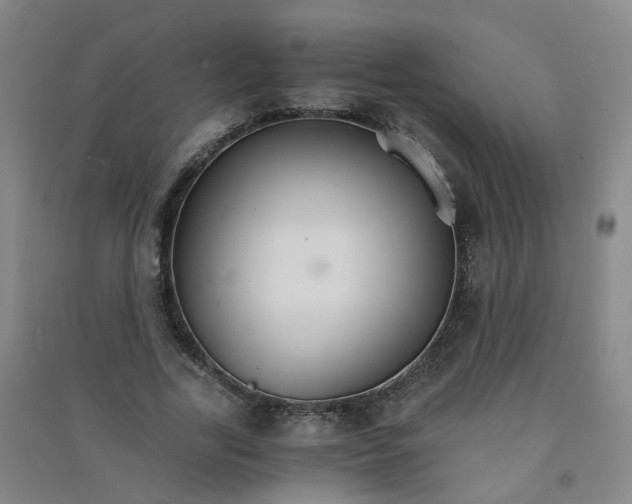 X0000090920731200708201805