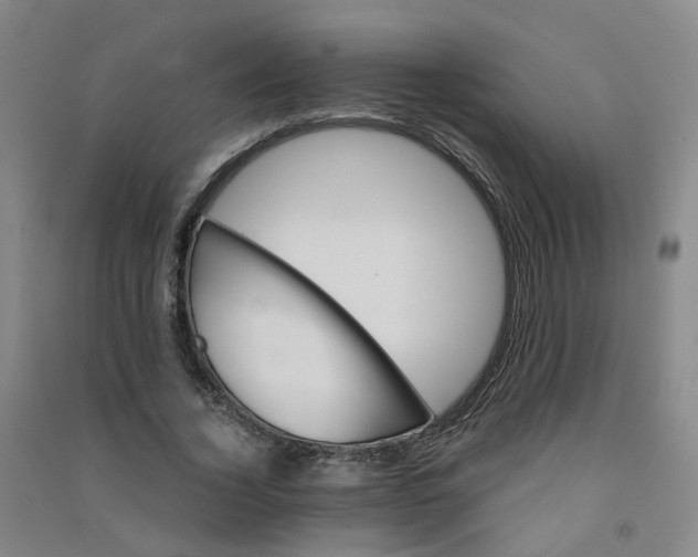 X0000090920732200708201805