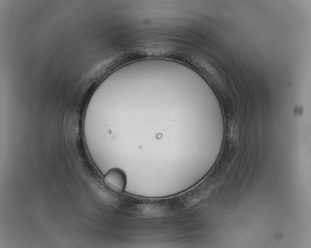 X0000090920733200708201805