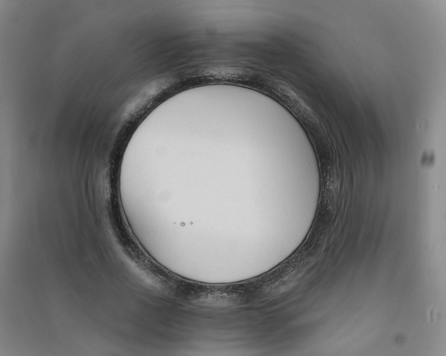 X0000090920734200708201805