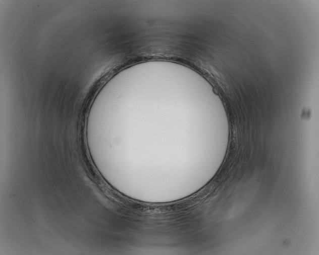 X0000090920735200708201805