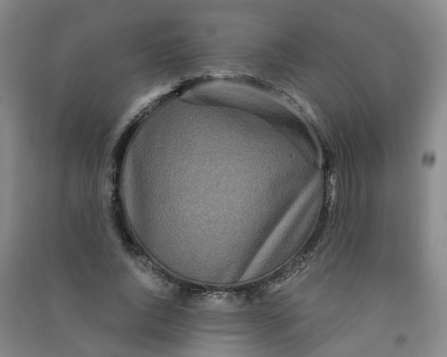 X0000090920736200708201805