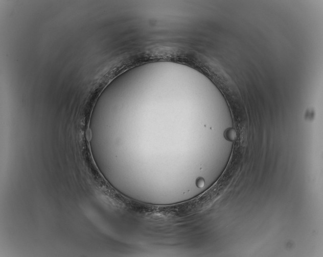 X0000090920737200708201805