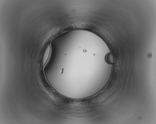 X0000090920738200708201805