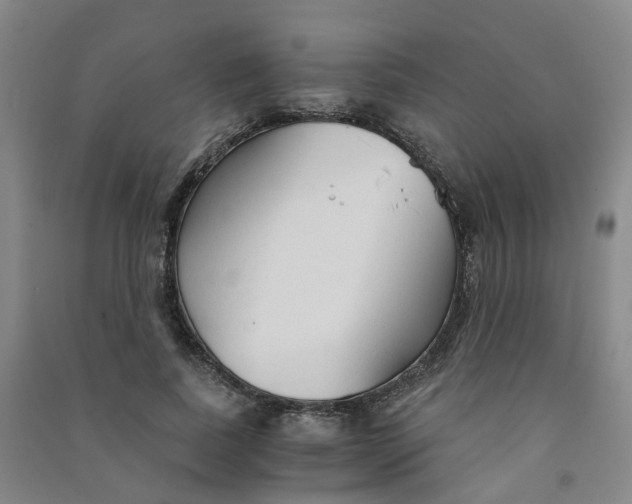 X0000090920739200708201805