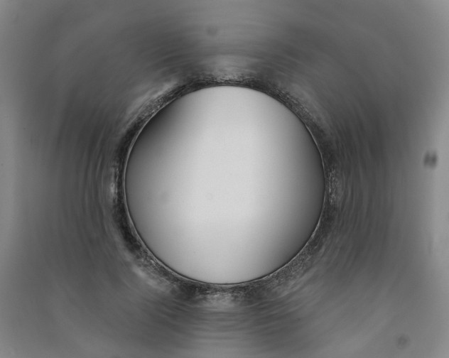 X0000090920740200708201805