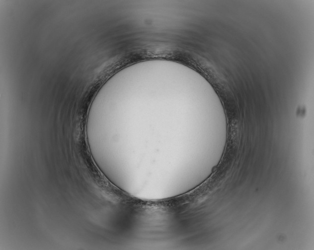 X0000090920741200708201805