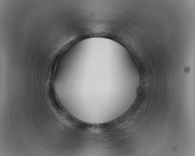 X0000090920742200708201805