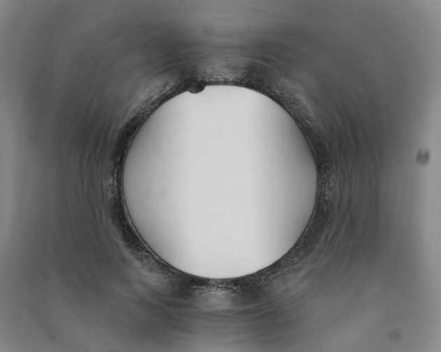 X0000090920743200708201805