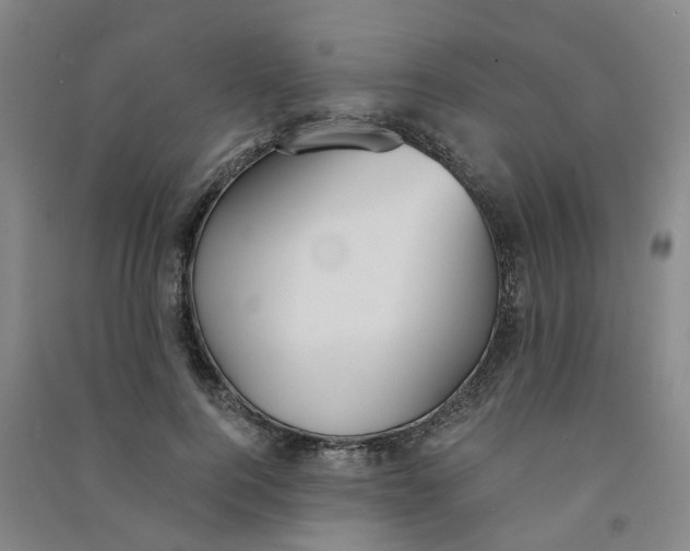 X0000090920744200708201805