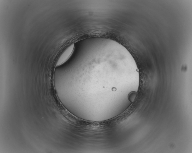 X0000090920745200708201805