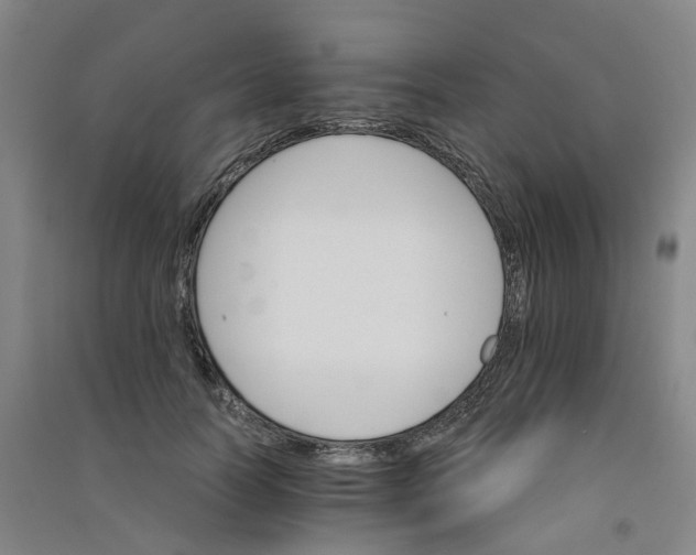 X0000090920746200708201805