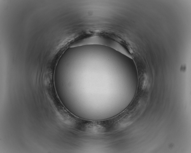 X0000090920747200708201805