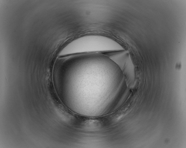 X0000090920748200708201805