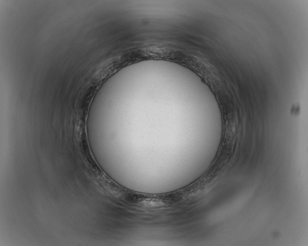 X0000090920749200708201805