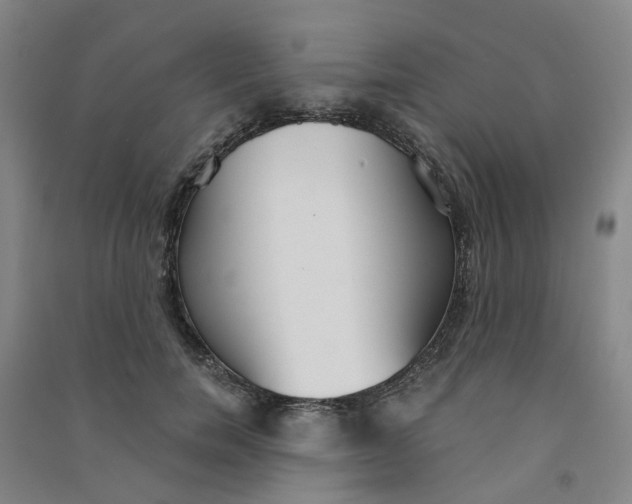 X0000090920750200708201805