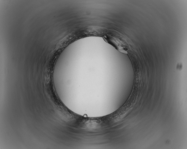 X0000090920751200708201805