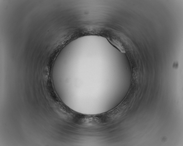 X0000090920752200708201805