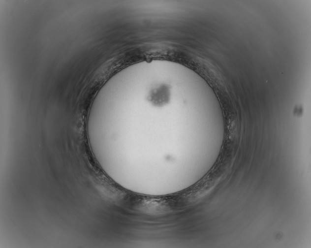 X0000090920753200708201805