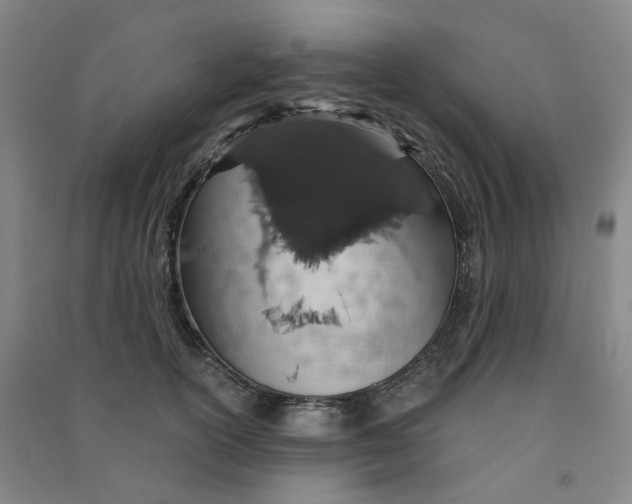 X0000090920754200708201805