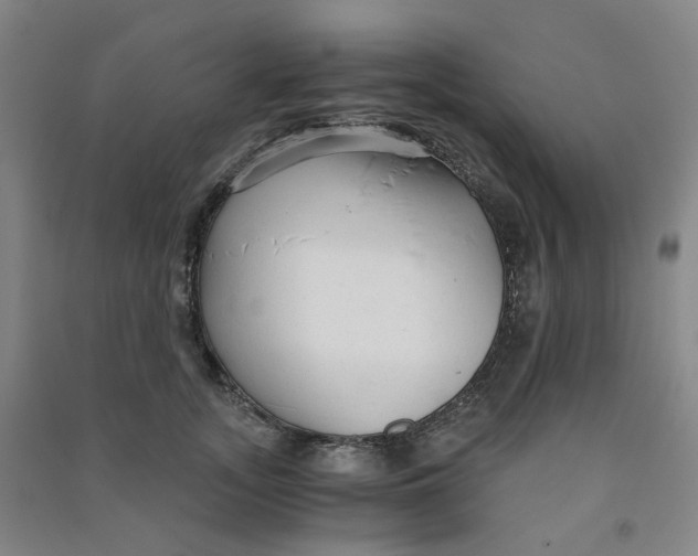 X0000090920755200708201805