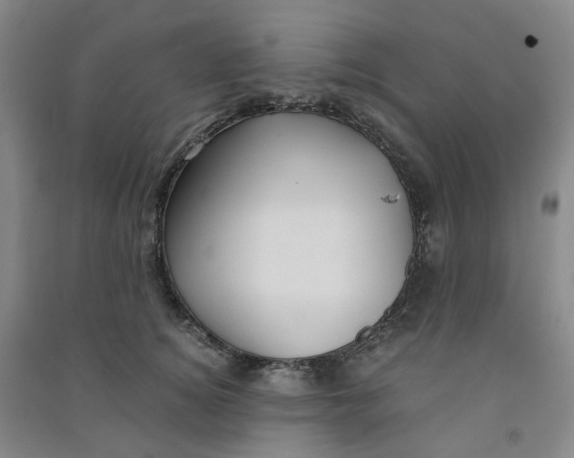 X0000090920756200708201806