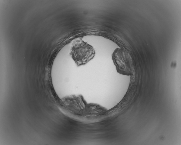 X0000090920757200708201806